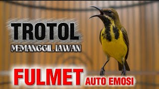 Download lagu SOGON TROTOL MEMANGGIL LAWAN UNTUK PANCINGAN BUNYI SOGON FULMET DI JAMIN AMPUH #sogon #sogontrotol mp3 Download lagu SOGON TROTOL MEMANGGIL LAWAN UNTUK PANCINGAN BUNYI SOGON FULMET DI JAMIN AMPUH #sogon #sogontrotol mp3