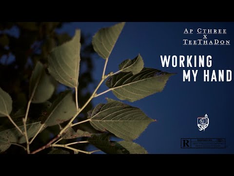 APCthree  x TeeThaDon  - Working My Hand (Official Music Video)