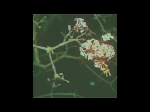 Lord Space - Nachtalb (+ma rmx)