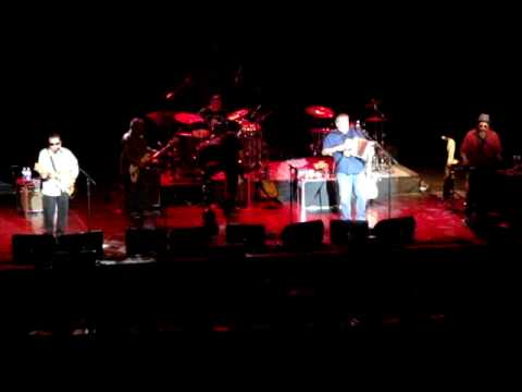 Los Lobos - Kiko and the Lavendar Moon