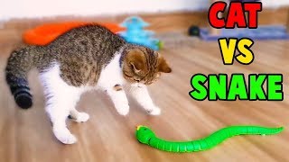 Cutest Cats, So Funny Cats Reaction to Snake Toy, Funny Cats Videos by Animals TV