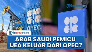 Alasan UEA Keluar dari OPEC di Tengah Konflik Timur Tengah, Target Produksi 5 Juta Barel per Hari