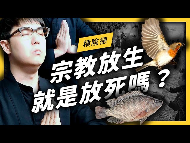 宗教放生每天都有！被釋放的動物除了眼鏡蛇外，竟然還有⋯!?| 志祺七七