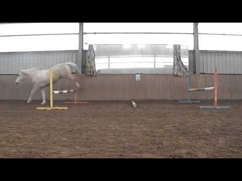 Freispringen 21 02 2015