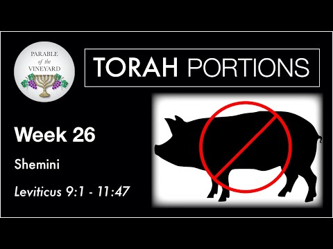 Torah Portions - Week 26 - Shemini - Leviticus 9:1 - 11:47 (2020-2021)