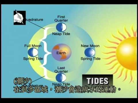 Chapter 8 diving environmemt