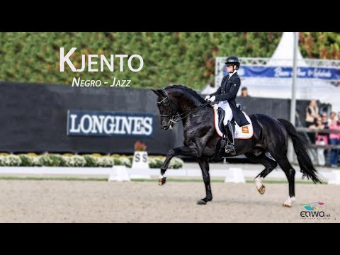 Kjento (Negro – Jazz) Dutch Warmblood Stallion