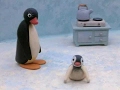 Pingu Pingu Gets Jealous
