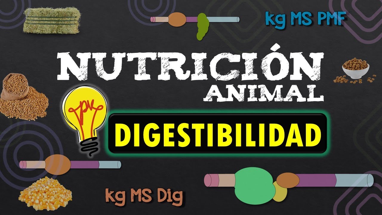 Miniatura Clase 1