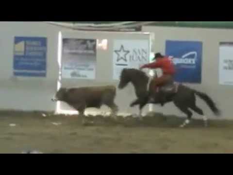 Jamminalena Fence work