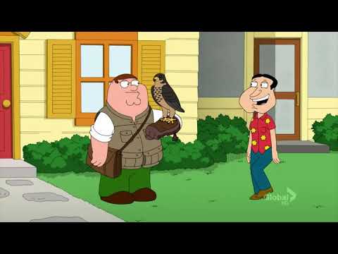 Family Guy - Xerxes