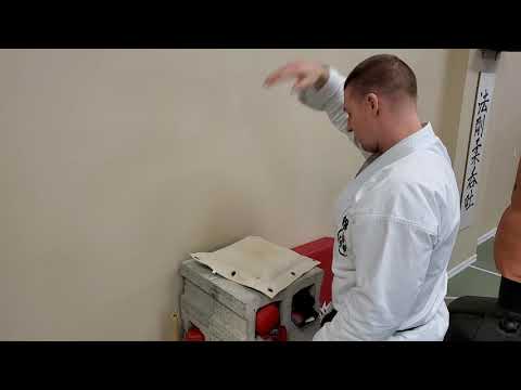 Toraguchi - Iron Palm Canvas Bean Bag #1