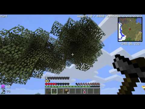 HonneyPlay's Blood n Bones 16 - SQUAK