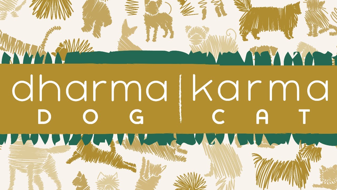 Dharma Karma Katzenhöhle Fisch, 54 x 28 x 20 cm, Türkis