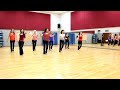 Make No Promises Line Dance Dance Teach In English 中文