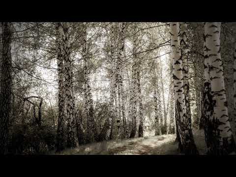 Marina Puharić Legnala Dana, zaspala