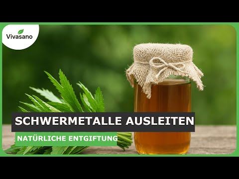 Schwermetalle ausleiten – Entgiftung natürlich