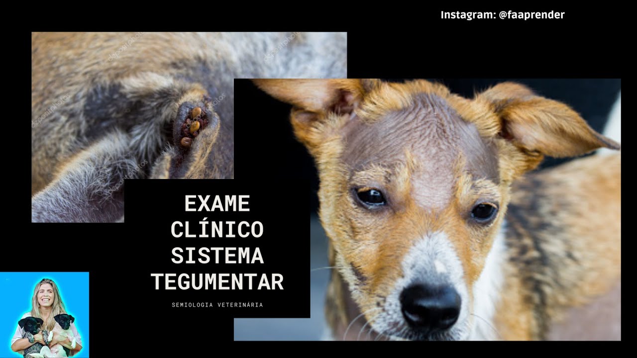 Exame Clínico do Sistema Tegumentar