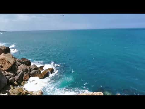 شعور جميل حين تستمتع بامواج البحر