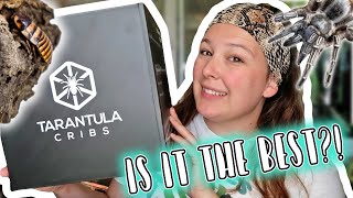 Tarantula Cribs Unboxing and Review // Invertebrate Enclosures and Displays