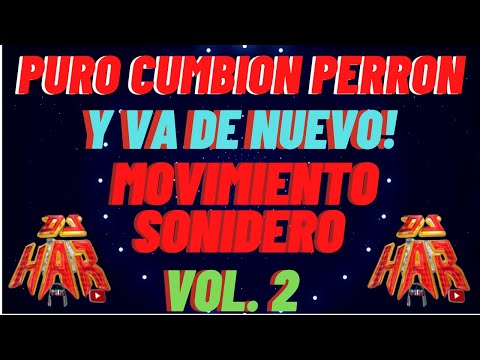 CUMBIAS PERRONAS Y VA DE NUEVO PURO MOVIMIENTO SONIDERO VOL.  2 VAMOS A BAILAR TODA LA NOCHE DJ HAR!