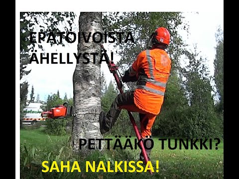 Epätoivoista ähellystä