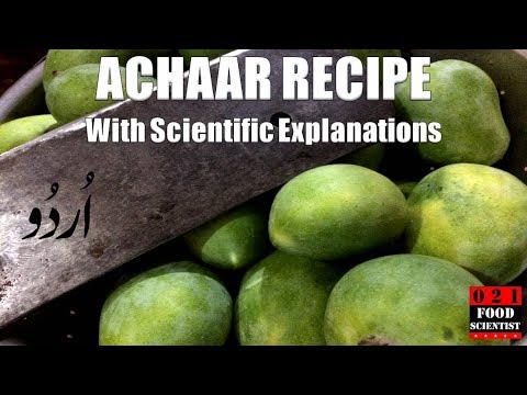 download lagu mp3 mp4 Camel Mango Pickle, download lagu Camel Mango Pickle gratis, unduh video klip Camel Mango Pickle