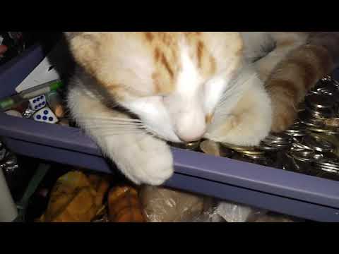 Ang malambing Kong c bulinggit...