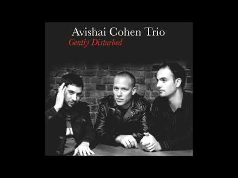 Avishai Cohen - Pinzin Kinzin