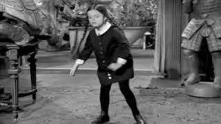 Addams Family Surfin&#39; Bird