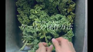 ケールの保存方法【食材を無駄なく使うアイデア】