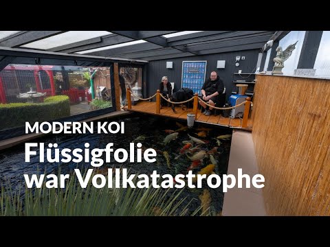 Alexanders 110.000 Liter Teich im Glashaus mit Zeltwänden | Modern Koi Blog #6703