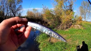 Воблер asura osp rudra 130 sp
