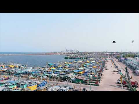 Royalty Free Footage | Fishing Village | The Sea Bay In India | India | Stock Footage