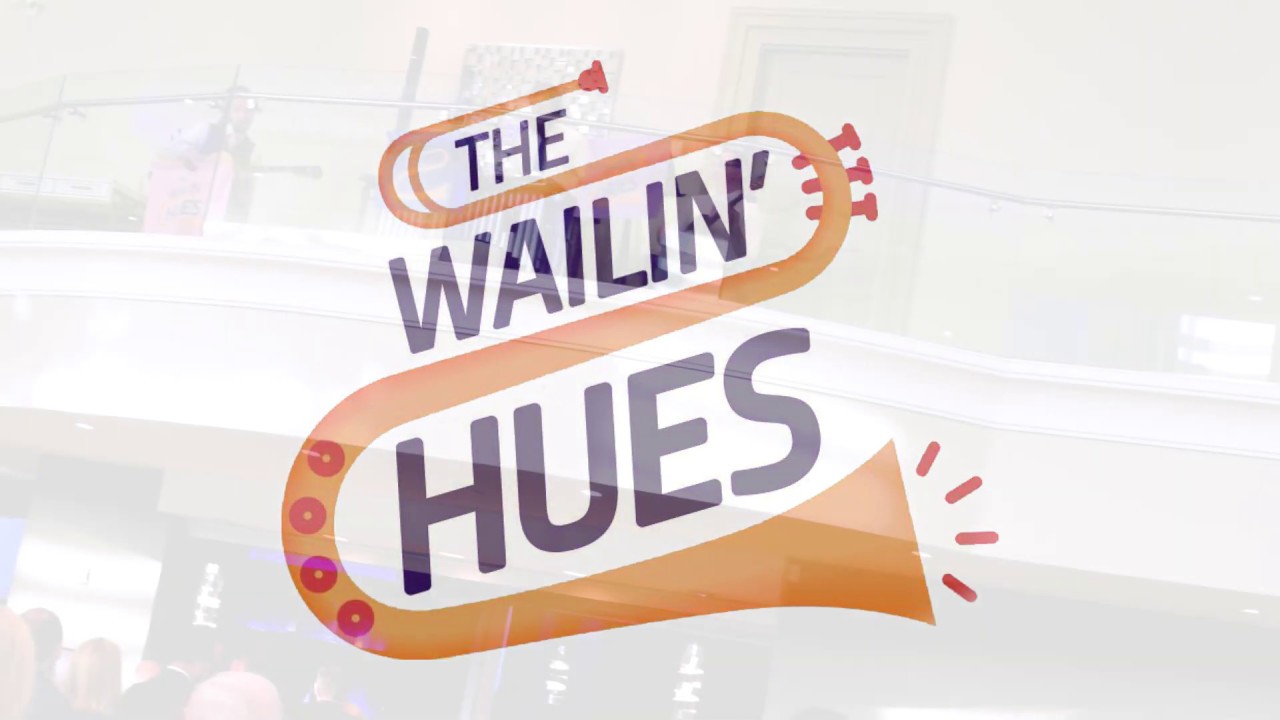 Promotional video thumbnail 3 for The Wailin' Hues