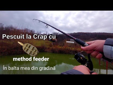 Pescuit la feeder in Balta din gradină Iarna la Crap 🥶 - la tehnica method - Am rupt lanseta...😓
