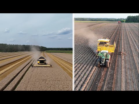 Die Highlights aus meiner Kartoffel, Getreide und Raps Ernte | Hobby_Drohne #2