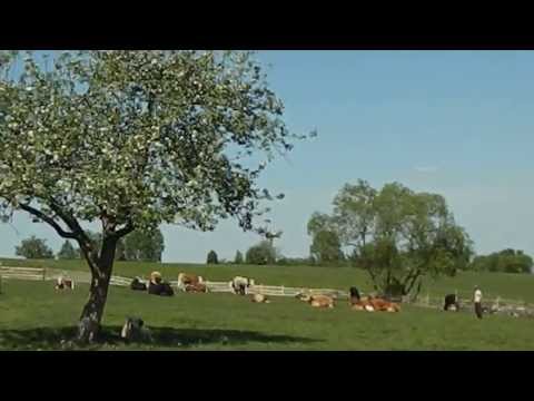 Revista Turism LIFE / Romanian traditions