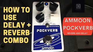 Video thumbnail for How to use DELAY + REVERB COMBO | AMMOON POCKVERB DEMO by Jesseboi