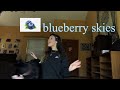 Blueberry Skies Original By Audrey MiKa
