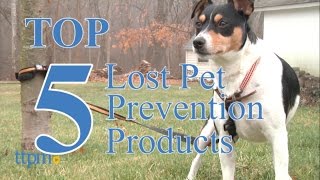 2016 Top 5 Products to Help Prevent your Dog from Becoming Lost