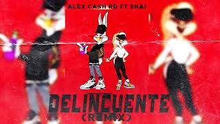 Delincuente - Remix Music Video