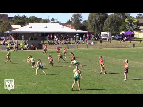 2017 Group 7 RL Round 5 LLT Highlights - Stingrays of Shellharbour Gold v Shellharbour City Gold