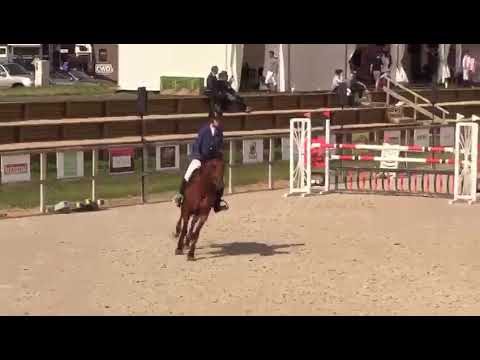 Diana de gree 6yo Mylord x Cento - Macon 2019