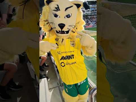 #jalkapallo #football #tampereen #ilves⚽️💚💛