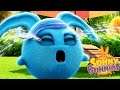 Videos For Kids | Sunny Bunnies SUNNY BUNNIES CRYING BUNNY | Funny Videos For Kids