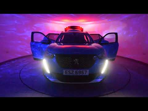 ESZ6957 Peugeot 2008