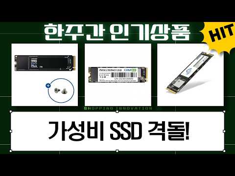 가성비 NVMe SSD 총집합! 앱코, MSI, 한창, 컴이지, 삼성 비교