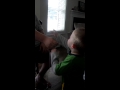 Best Laugh Ever