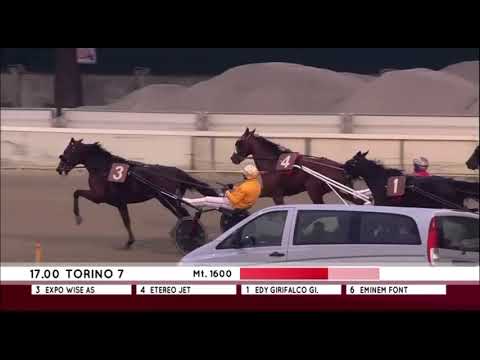 Gran Premio Paolo E Orsini Orsi Mangelli Finale 2023 - Expo Wise As & Allesandro Gocciadoro